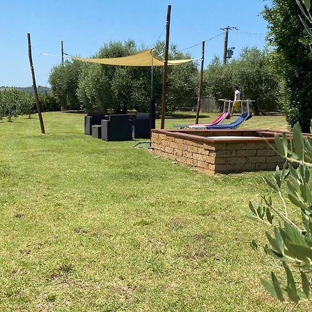 Podere La Vignata Toiano Exteriör bild